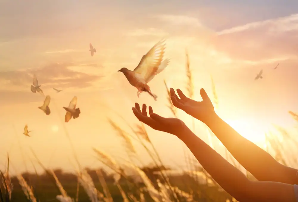 ¿Qué es la paz interna?