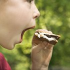 ¿El nombre Smores tiene derechos de autor? ¿El nombre Smores tiene derechos de autor?