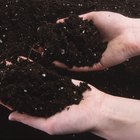 ¿Qué significa “tierra escriturada”?