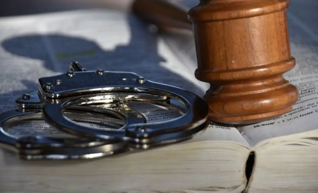 Aplicación de la ley y seguridad pública