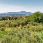 Cómo encontrar tierras no reclamadas Cómo encontrar tierras no reclamadas