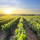 Diferencia entre un terreno y un terreno Diferencia entre un terreno y un terreno