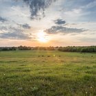 Cómo encontrar la descripción legal de una propiedad en Texas
