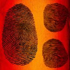 Las diferencias entre criminología y ciencia forense